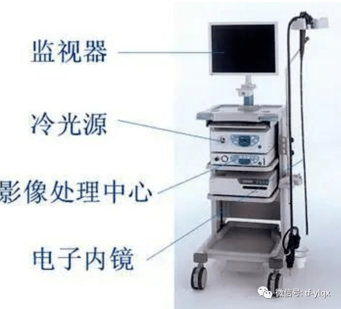 西安交通大學(xué)第二附屬醫(yī)院消化內(nèi)鏡、介入耗材供應(yīng)商遴選項目