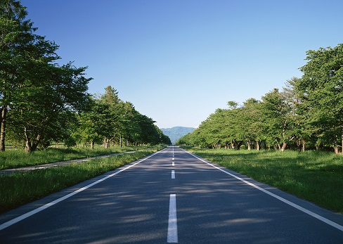 西咸新區(qū)空港新城景平大街(萬聯(lián)大道-廣德路）以及北杜大街（安德路-廣德路）結算審核工程